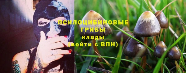 не бодяженный Белокуриха