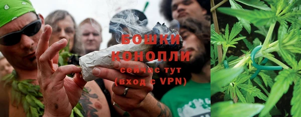 не бодяженный Белокуриха