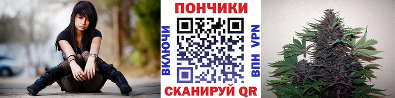 Канабис ГИДРОПОН  Губкинский 